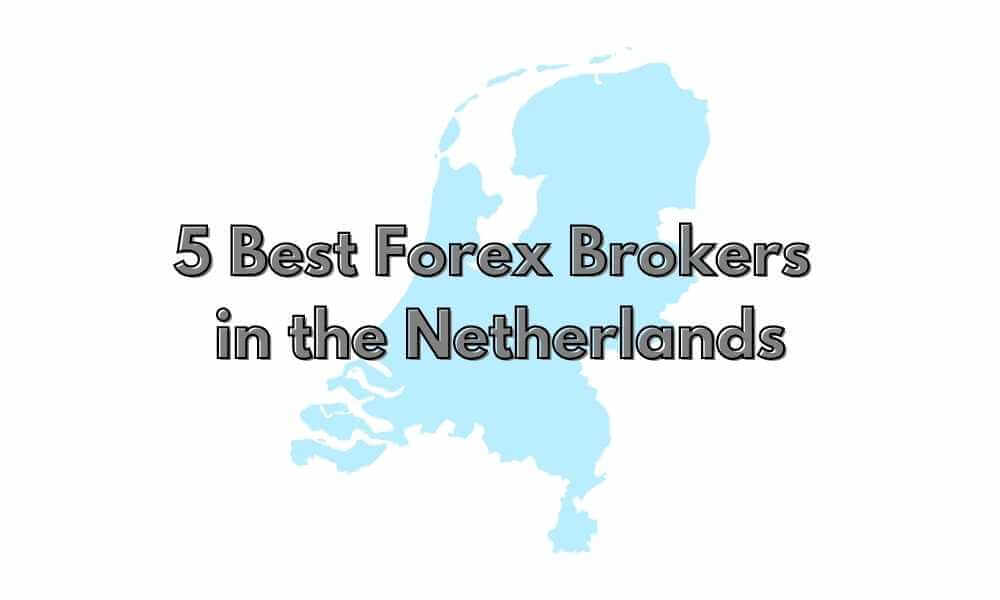 5 Best Forex Brokers in the Netherlands - Forexsail